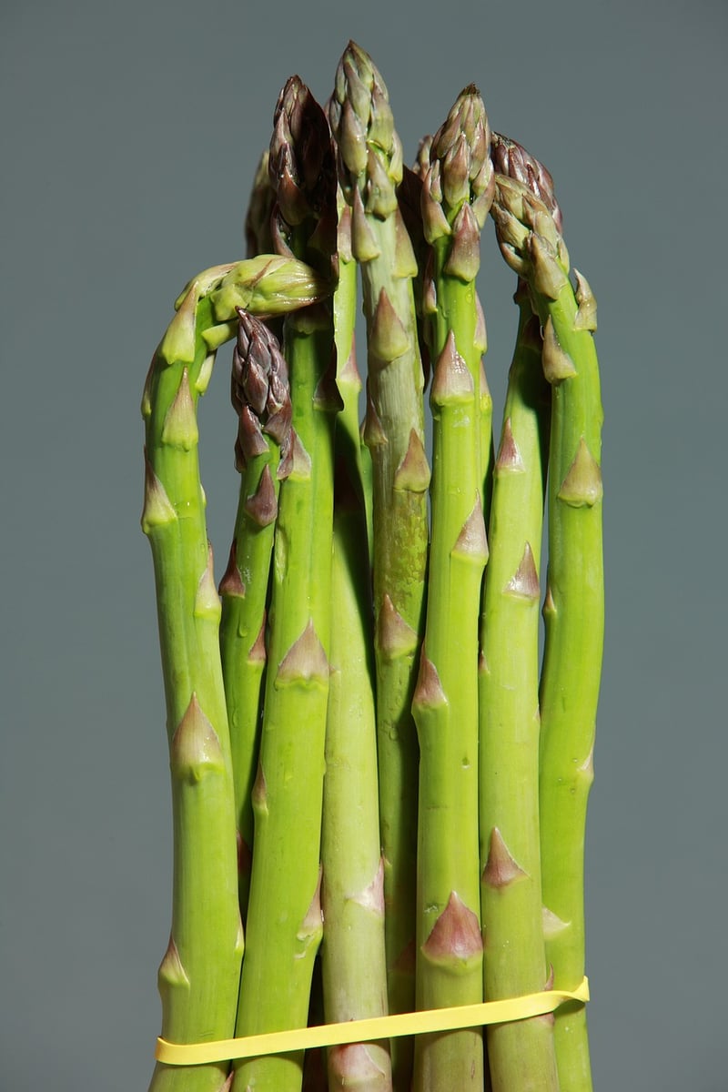 Balanced Contrasts Asparagus